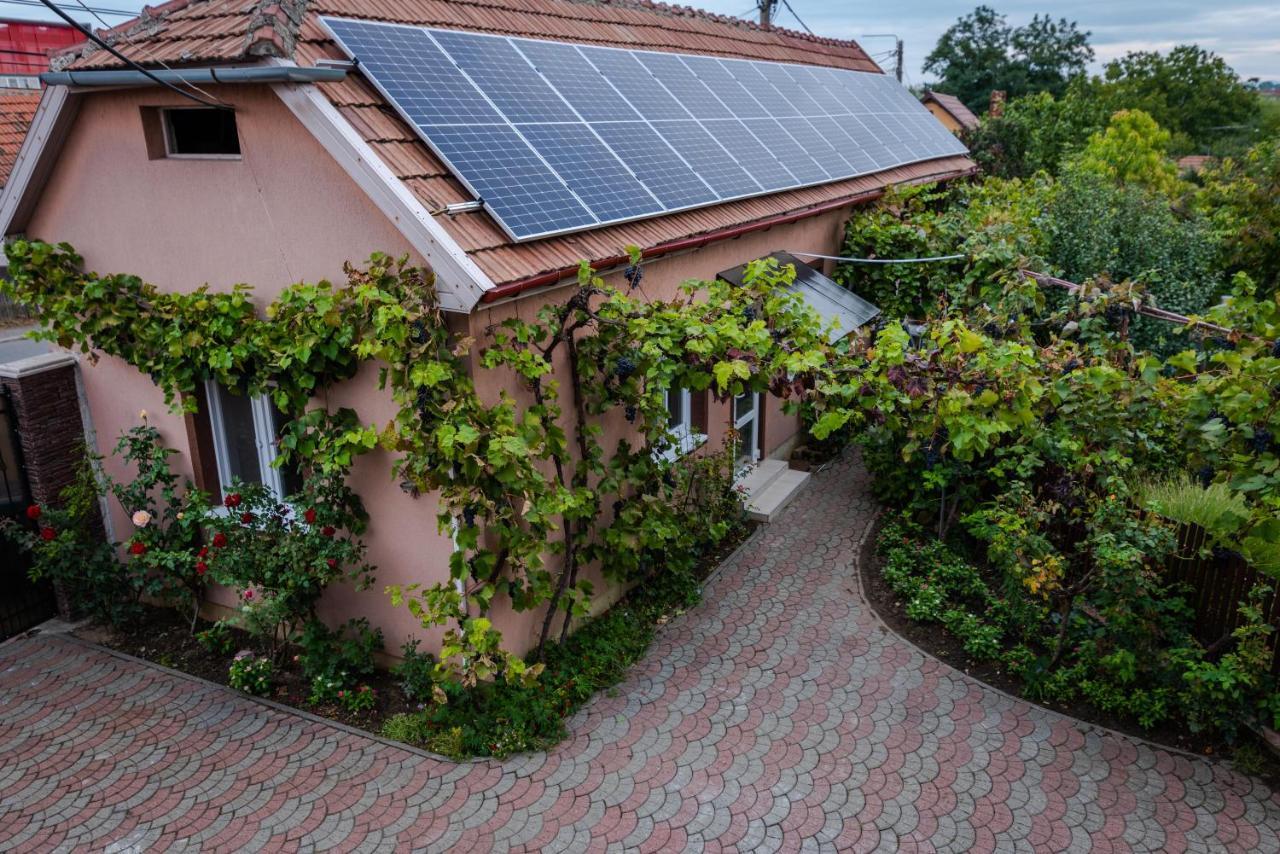 Provence Apartamento Arad Exterior foto